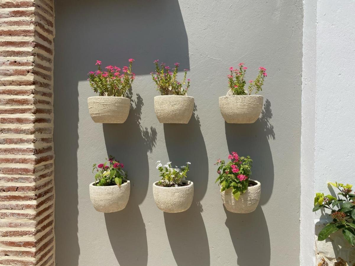 Casa Bixa Hotel Boutique - Mayores De 12 Anos - (Adults Only) Santa Fe de Antioquia Zewnętrze zdjęcie